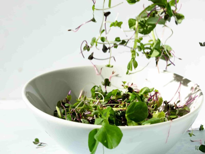 What is microgreens ,sprouts and baby greens