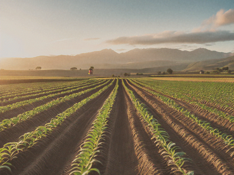 High-quality visualization of growing juanulloa – doctor intelligence (diseases) for global: complete guide & best practices featuring advanced farming techniques, hydroponics, and sustainable agriculture.