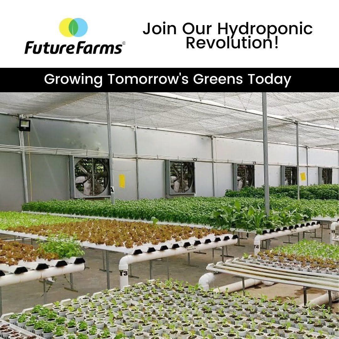 NFT Hydroponic Systems — Advanced hydroponic and vertical farming technologies for high-yield cultivation, tools & implements
