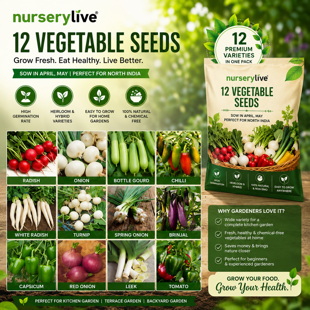 Vegetable Seed Combo — Combination pack of popular vegetable seeds for seasonal kitchen gardening, seeds & planting material
