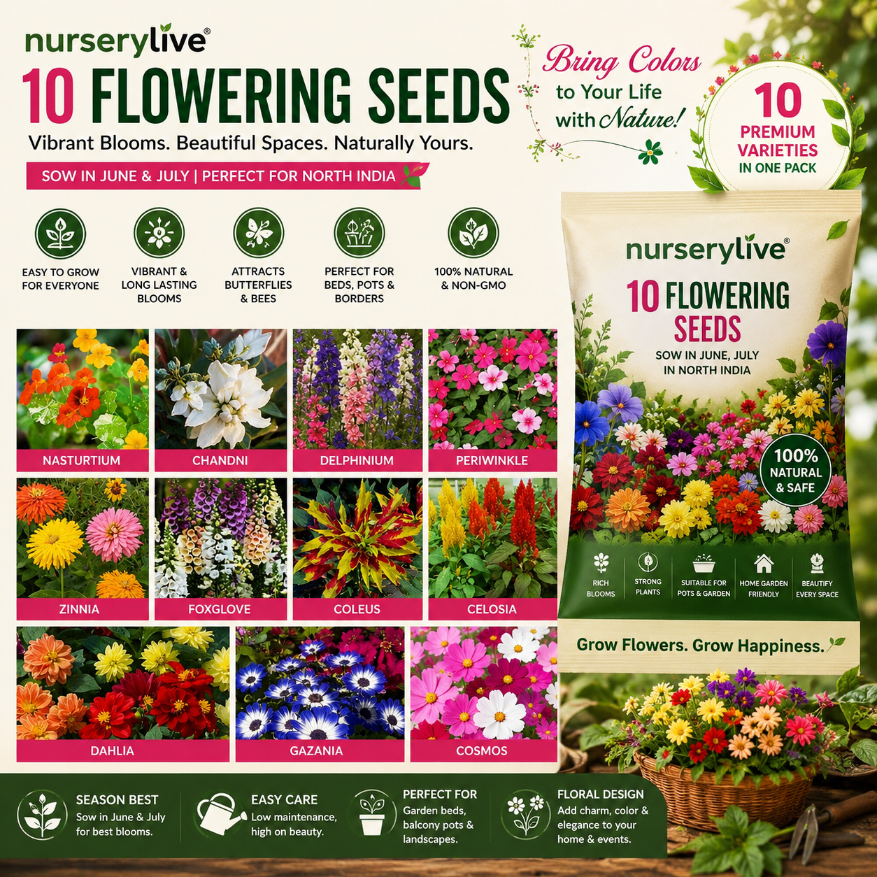 Flower Seed Combo — Assorted flowering plant seeds for colourful beds, pots and balconies, seeds & planting material