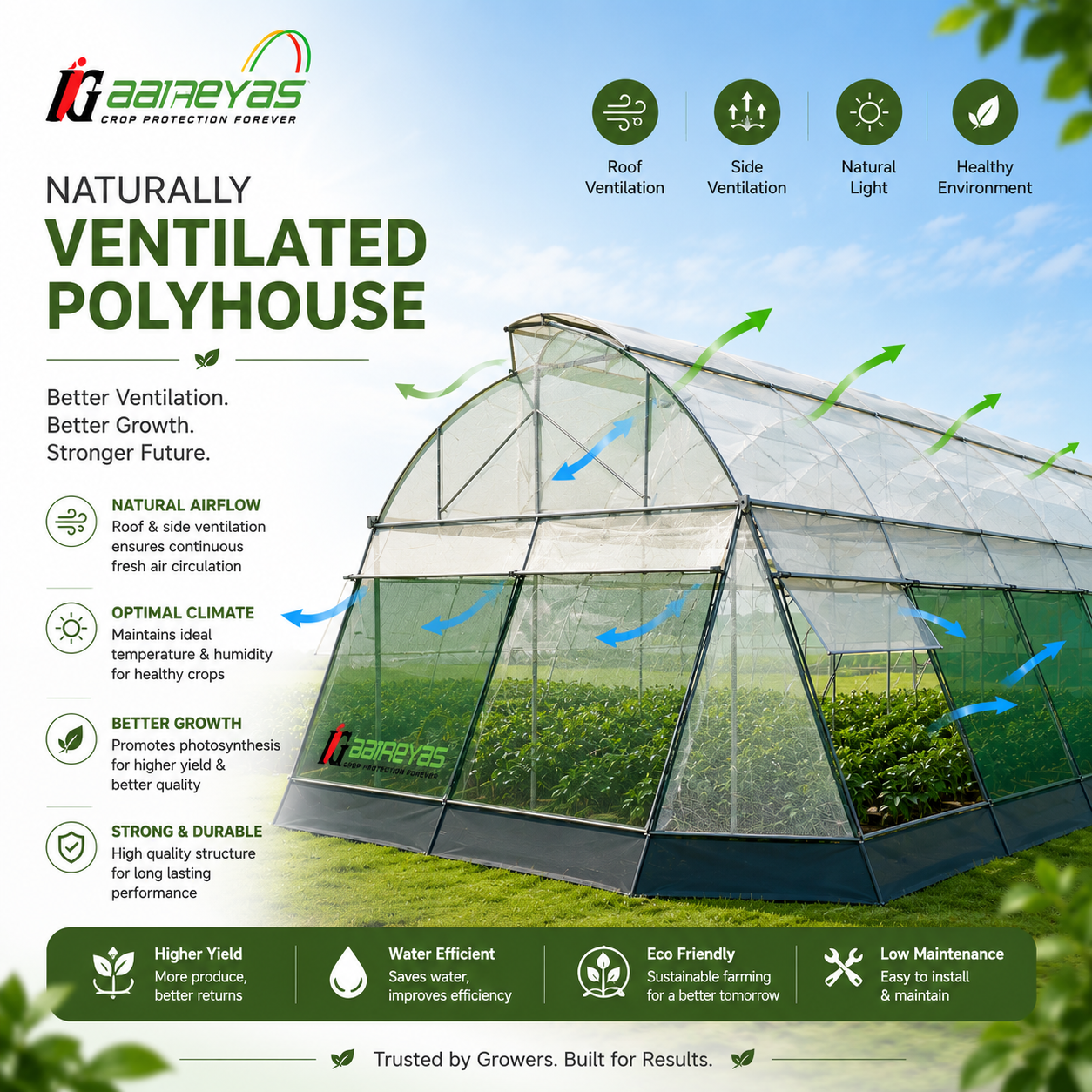 Naturally Ventilated Polyhouse — Naturally ventilated polyhouse balancing temperature and humidity passively