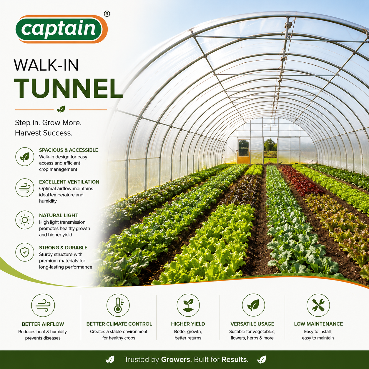 Mulching Film — Plastic mulch film conserving moisture, suppressing weeds and warming soil, greenhouse & nursery