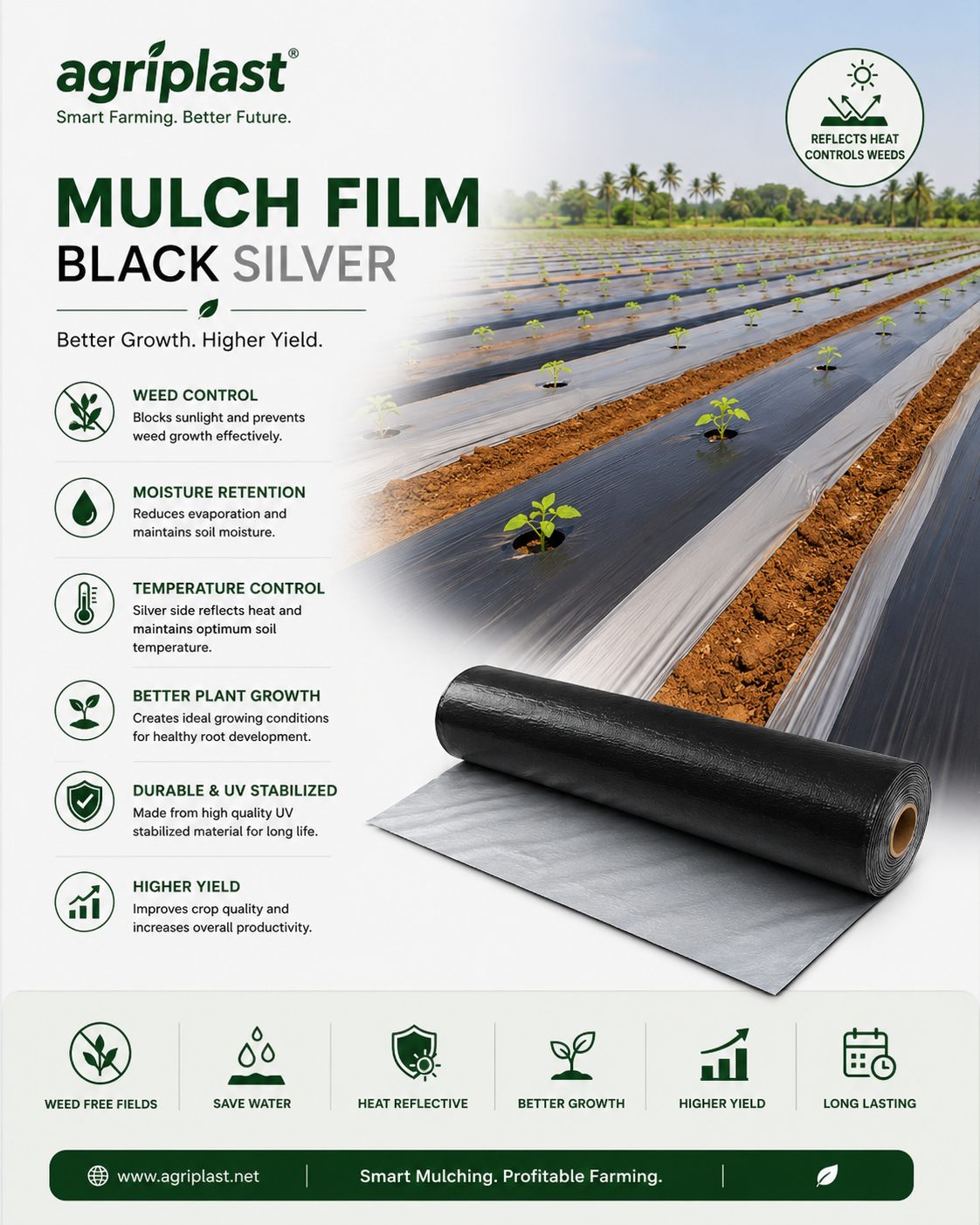 Mulch Film Black Silver — Black-silver mulch film reflecting pests and conserving soil moisture, greenhouse & nursery