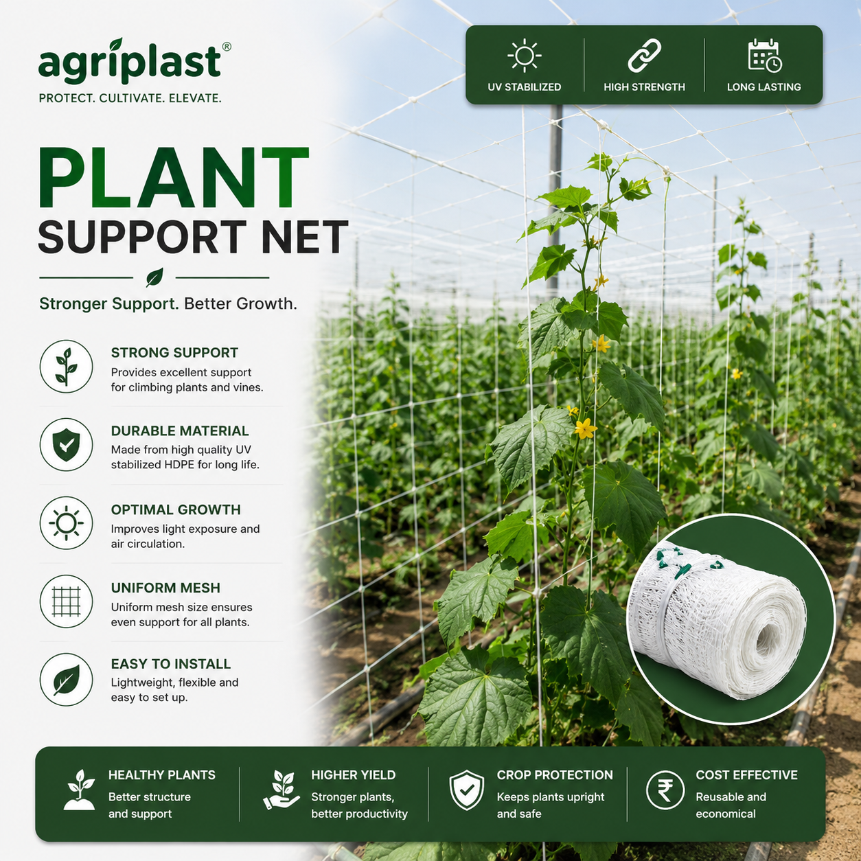Plant Support Net — Trellis support net holding climbing and vining crops upright, greenhouse & nursery