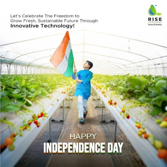 Hydroponic Nutrients — Specialized hydroponic products and nutrient solutions for soilless farming, fertilizers & nutrients