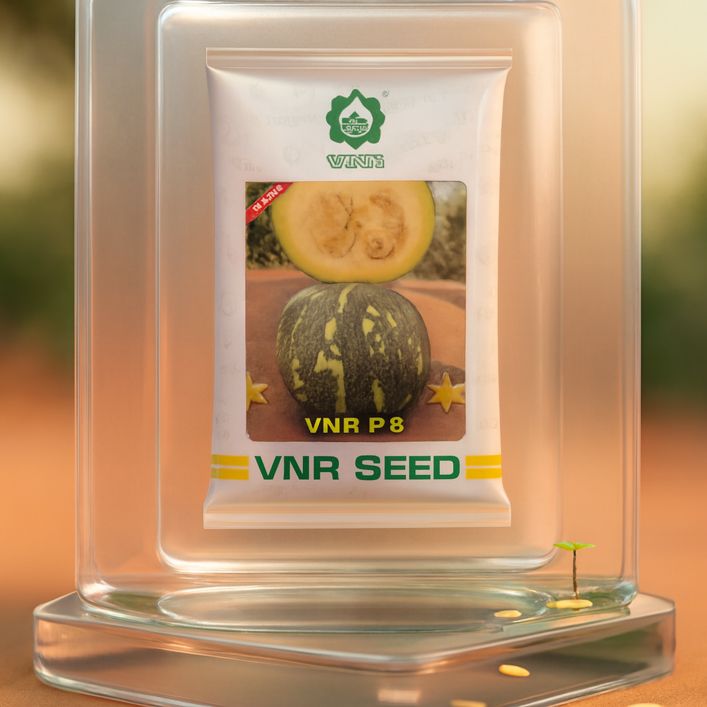 VNR Pumpkin Hybrid