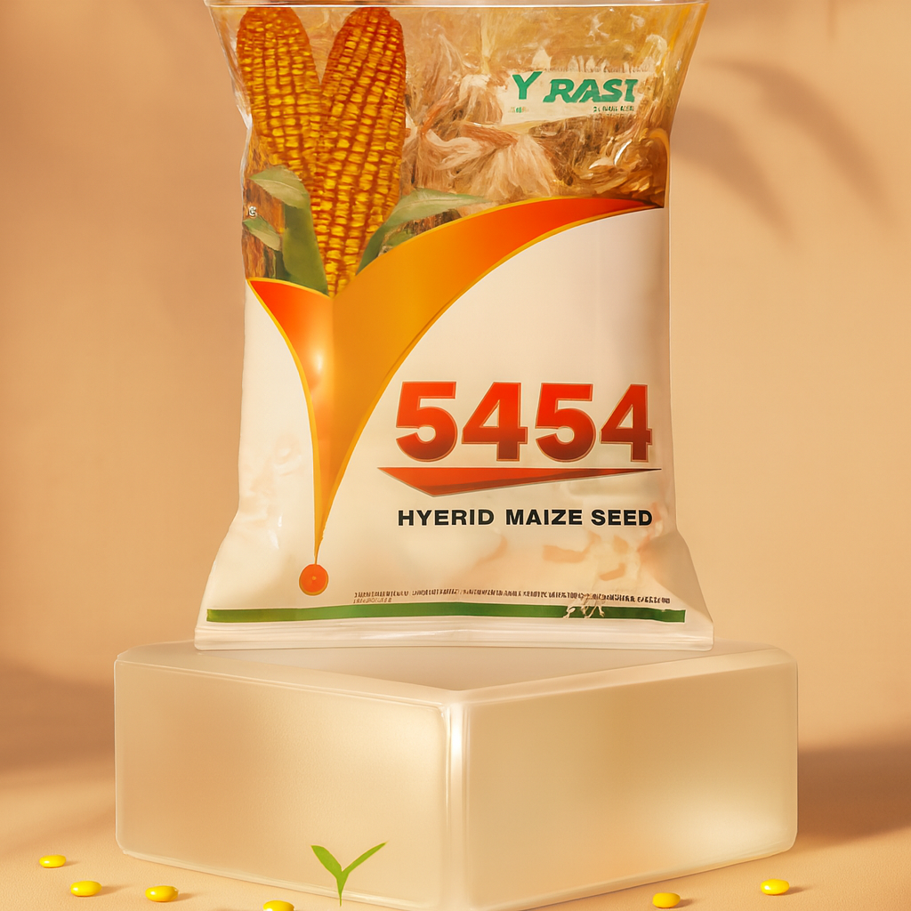 Rasi Maize Hybrid RM Series