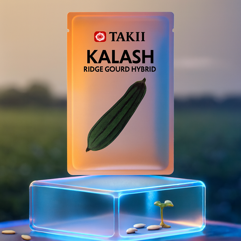 Kalash Ridge Gourd Hybrid